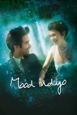 Mood Indigo (L'écume des jours) รักนี้มหัศจรรย์ (2013) - ดูหนังออนไลน