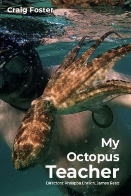 My Octopus Teacher บทเรียนจากปลาหมึก (2020) NETFLIX บรรยายไทย - ดูหนังออนไลน