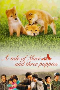 A Tale of Mari and Three Puppies (Mari to koinu no monogatari) เพื่อนซื่อ... ชื่อ มาริ (2007) - ดูหนังออนไลน